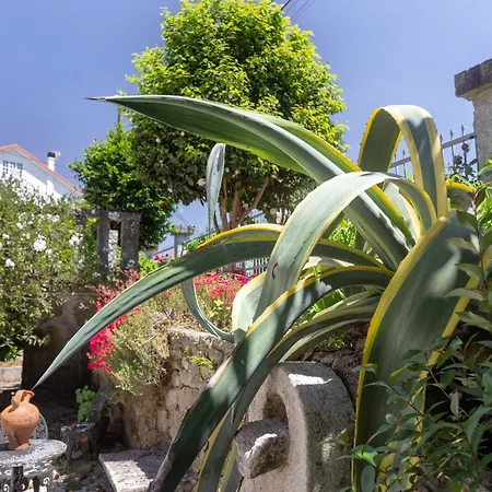 Casa de Férias Casa Lugar De Dices