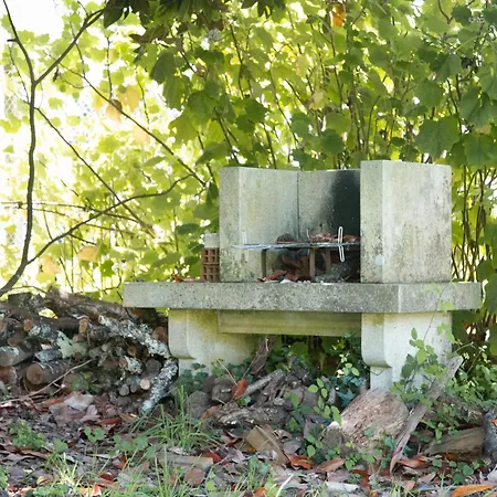 Casa Lugar De Dices Casa de Férias